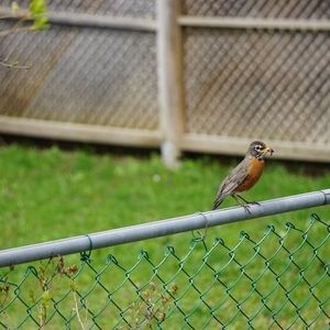 Meet your Posher, Annie